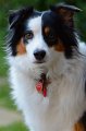 AlexGrace_4-2016_1317 (2)